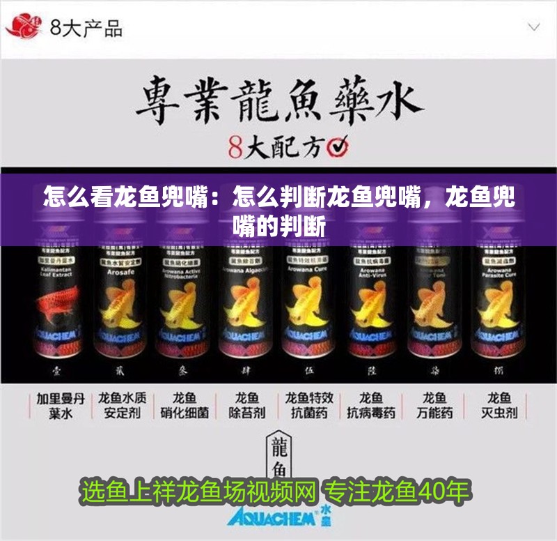 怎么看龍魚兜嘴：怎么判斷龍魚兜嘴，龍魚兜嘴的判斷