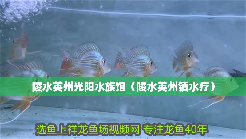 陵水英州光陽水族館（陵水英州鎮水療）