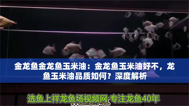 金龍魚金龍魚玉米油：金龍魚玉米油好不，龍魚玉米油品質如何？深度解析