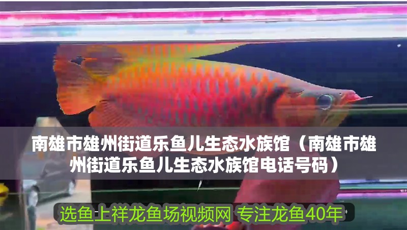 南雄市雄州街道樂魚兒生態水族館（南雄市雄州街道樂魚兒生態水族館電話號碼）