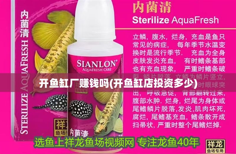 開魚缸廠賺錢嗎(開魚缸店投資多少) 開魚缸廠賺錢嗎(開魚缸店投資多少) 元寶鳳凰魚百科 第1張