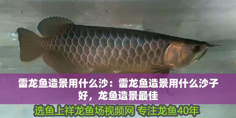 雷龍魚造景用什么沙：雷龍魚造景用什么沙子好，龍魚造景最佳