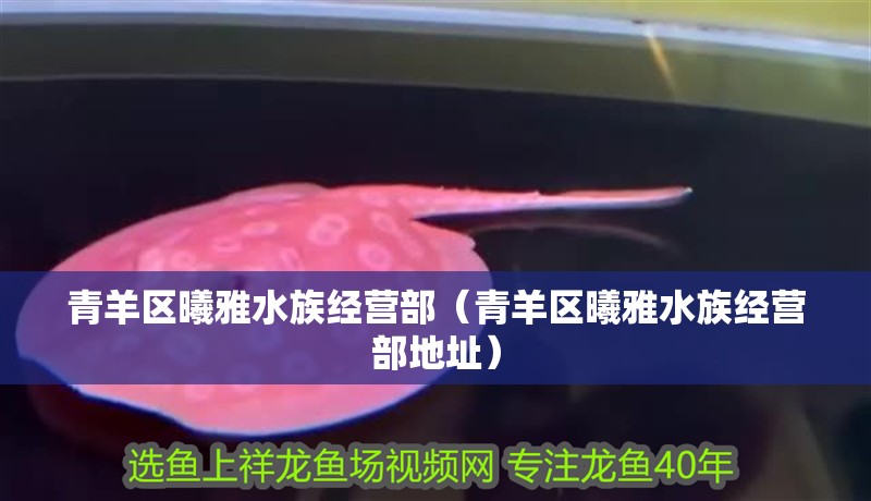 青羊區曦雅水族經營部（青羊區曦雅水族經營部地址）