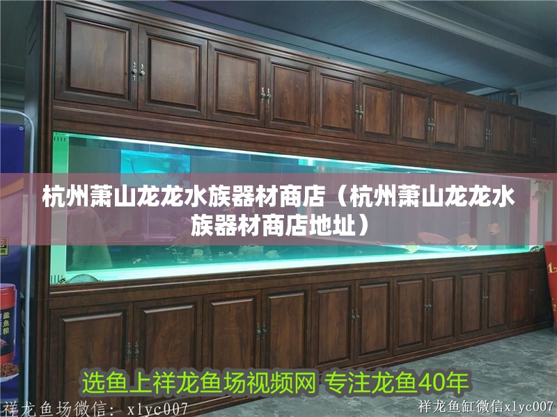 杭州蕭山龍龍水族器材商店（杭州蕭山龍龍水族器材商店地址）