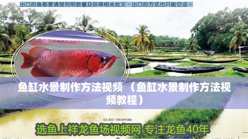 魚缸水景制作方法視頻 （魚缸水景制作方法視頻教程）