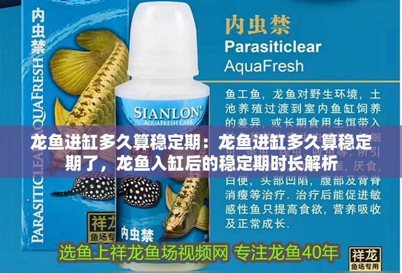 龍魚進缸多久算穩定期：龍魚進缸多久算穩定期了，龍魚入缸后的穩定期時長解析