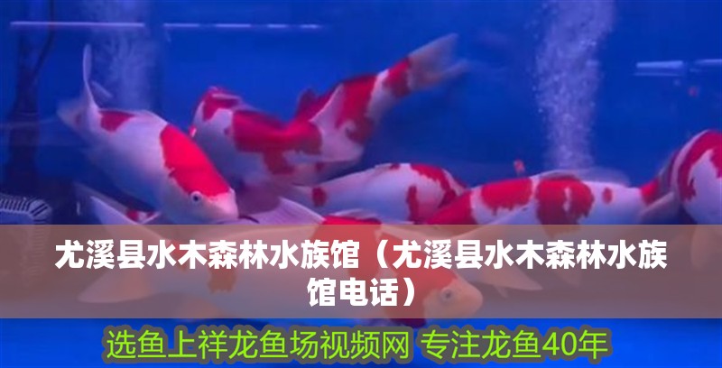 尤溪縣水木森林水族館（尤溪縣水木森林水族館電話）