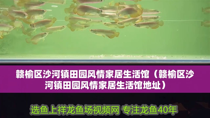 贛榆區沙河鎮田園風情家居生活館（贛榆區沙河鎮田園風情家居生活館地址） 贛榆區沙河鎮田園風情家居生活館（贛榆區沙河鎮田園風情家居生活館地址） 全國水族館企業名錄 第2張