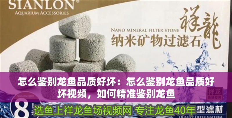 怎么鑒別龍魚品質好壞：怎么鑒別龍魚品質好壞視頻，如何精準鑒別龍魚 怎么鑒別龍魚品質好壞：怎么鑒別龍魚品質好壞視頻，如何精準鑒別龍魚 水族問答