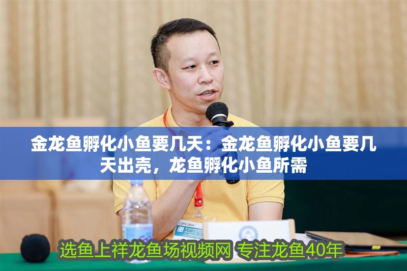 金龍魚孵化小魚要幾天：金龍魚孵化小魚要幾天出殼，龍魚孵化小魚所需 金龍魚孵化小魚要幾天：金龍魚孵化小魚要幾天出殼，龍魚孵化小魚所需 水族問答