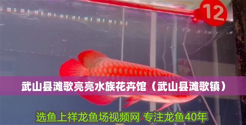 武山縣灘歌亮亮水族花卉館（武山縣灘歌鎮）