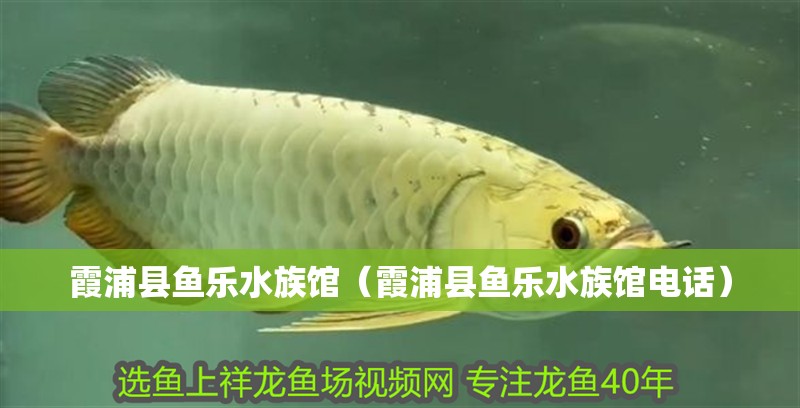 霞浦縣魚樂水族館（霞浦縣魚樂水族館電話）