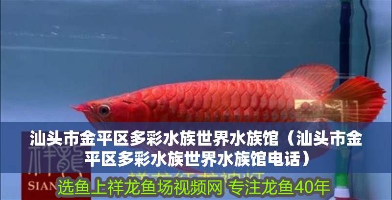 汕頭市金平區多彩水族世界水族館（汕頭市金平區多彩水族世界水族館電話）