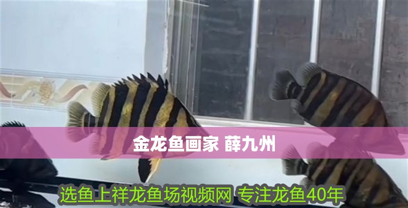 金龍魚畫家 薛九州
