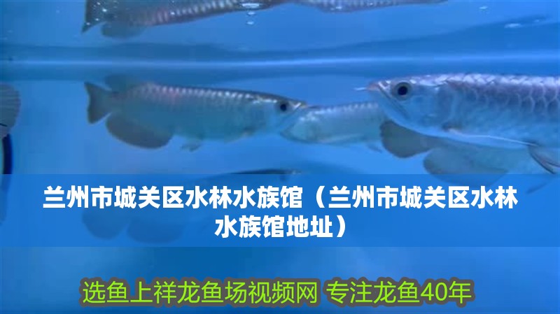 蘭州市城關區水林水族館（蘭州市城關區水林水族館地址） 蘭州市城關區水林水族館（蘭州市城關區水林水族館地址） 全國水族館企業名錄 第2張