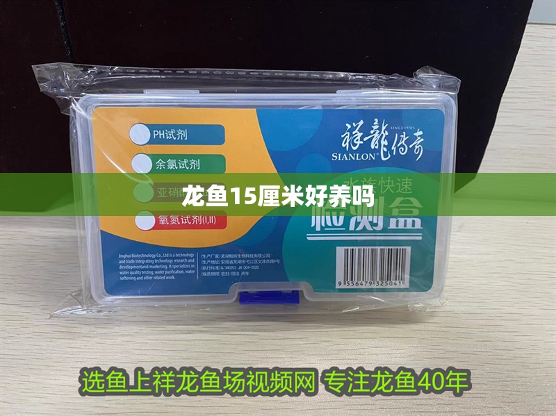 龍魚15厘米好養嗎