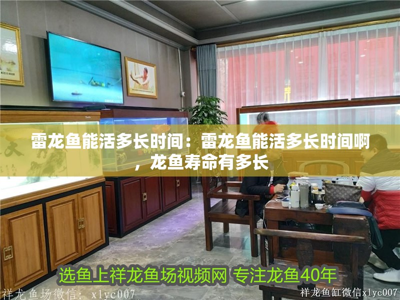 雷龍魚能活多長時間：雷龍魚能活多長時間啊，龍魚壽命有多長