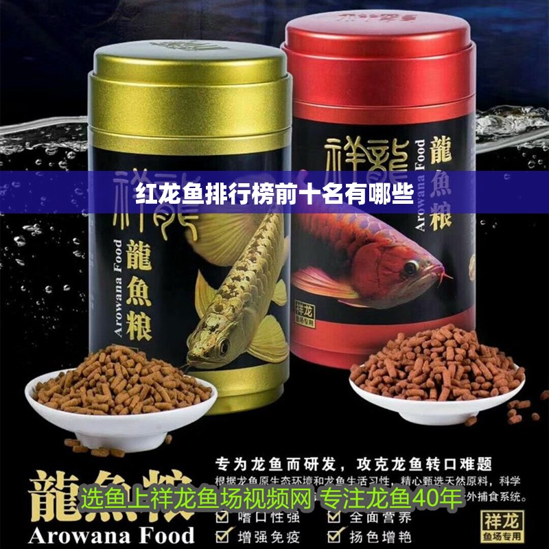 紅龍魚排行榜前十名有哪些