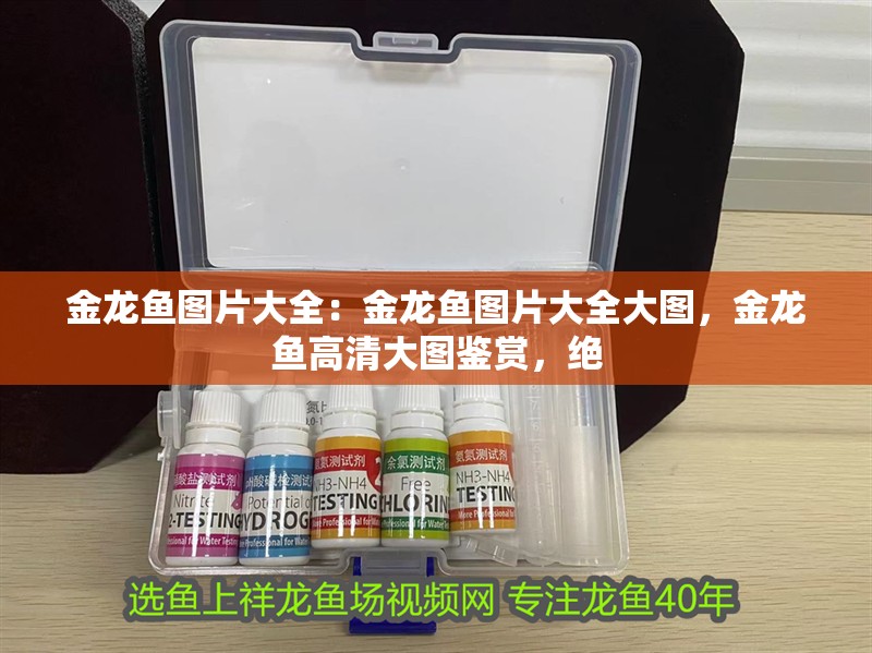 金龍魚圖片大全：金龍魚圖片大全大圖，金龍魚高清大圖鑒賞，絕