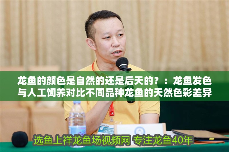 龍魚的顏色是自然的還是后天的？：龍魚發色與人工飼養對比不同品種龍魚的天然色彩差異
