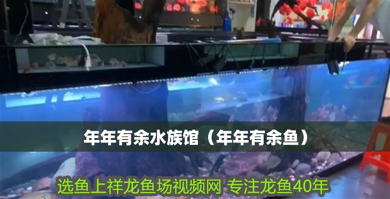 年年有余水族館(年年有余魚) 全國水族館企業(yè)名錄 第2張 年年有余水族館(年年有余魚) 年年有余水族館(年年有余魚) 全國水族館企業(yè)名錄 第2張