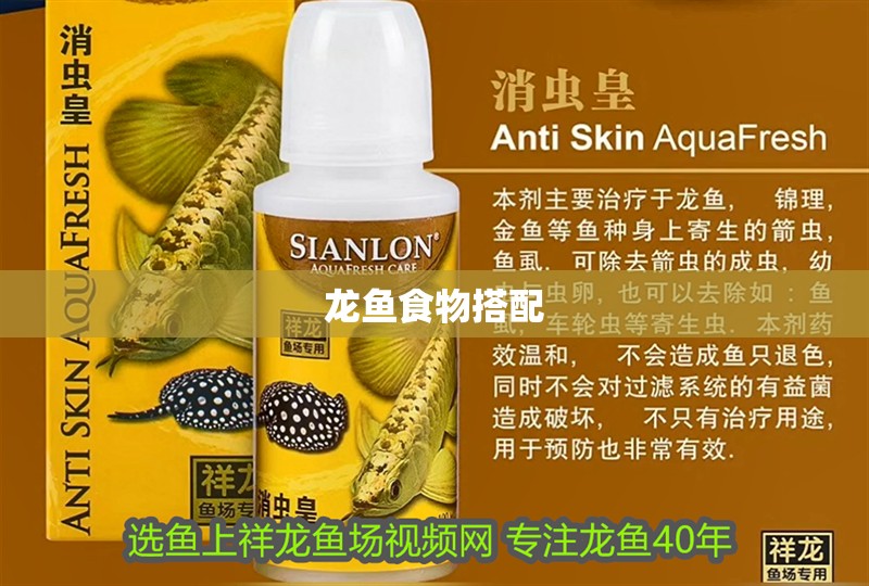 龍魚食物搭配