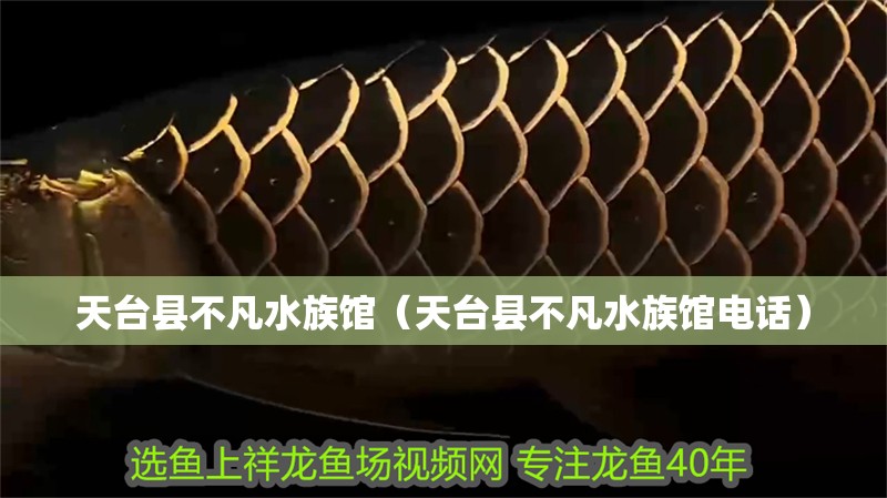 天臺縣不凡水族館(天臺縣不凡水族館電話) 全國水族館企業名錄 第2張 天臺縣不凡水族館(天臺縣不凡水族館電話) 天臺縣不凡水族館(天臺縣不凡水族館電話) 全國水族館企業名錄 第2張