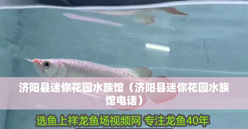 濟陽縣迷你花園水族館（濟陽縣迷你花園水族館電話）