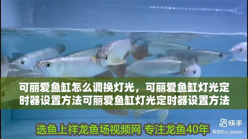 可麗愛魚缸怎么調(diào)換燈光，可麗愛魚缸燈光定時器設(shè)置方法可麗愛魚缸燈光定時器設(shè)置方法