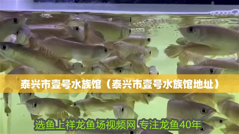 泰興市壹號水族館(泰興市壹號水族館地址) 全國水族館企業名錄 第2張 泰興市壹號水族館(泰興市壹號水族館地址) 泰興市壹號水族館(泰興市壹號水族館地址) 全國水族館企業名錄 第2張