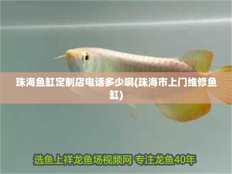 珠海魚缸定制店電話多少啊(珠海市上門維修魚缸)