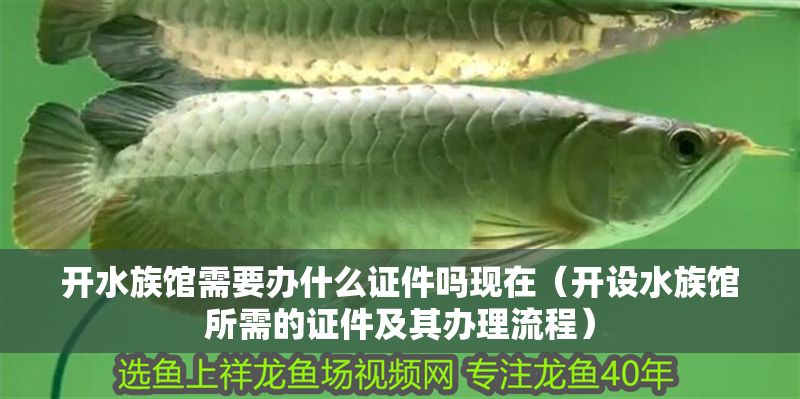 開水族館需要辦什么證件嗎現在（開設水族館所需的證件及其辦理流程）