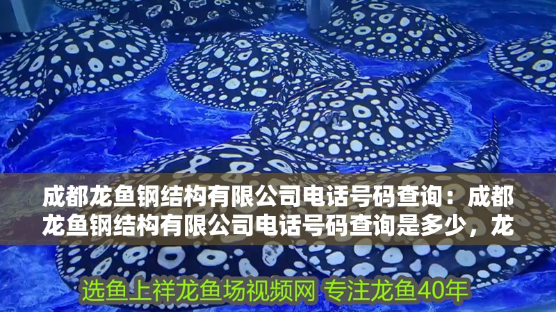 成都龍魚鋼結構有限公司電話號碼查詢：成都龍魚鋼結構有限公司電話號碼查詢是多少，龍魚鋼結構有限公司電話號碼