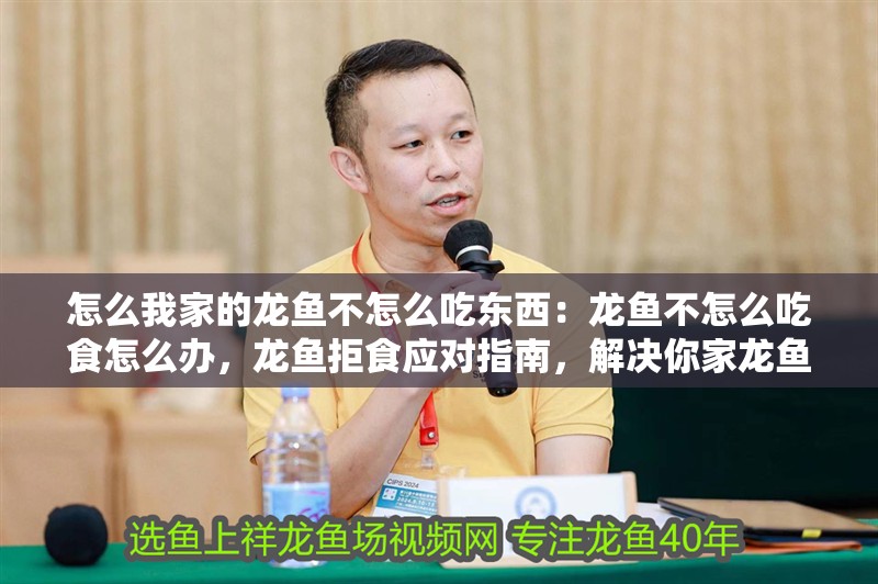 怎么我家的龍魚不怎么吃東西：龍魚不怎么吃食怎么辦，龍魚拒食應對指南，解決你家龍魚不吃東西的難題