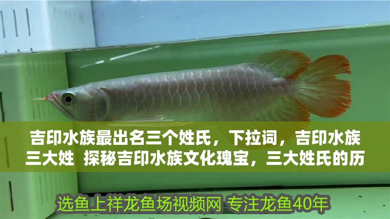 吉印水族最出名三個(gè)姓氏，吉印水族三大姓  探秘吉印水族文化瑰寶，三大姓氏的歷史傳承與獨(dú)特