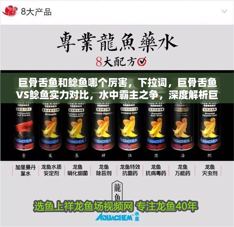 巨骨舌魚和鯰魚哪個厲害，巨骨舌魚VS鯰魚實力對比，水中霸主之爭，深度解析巨骨舌魚與鯰魚