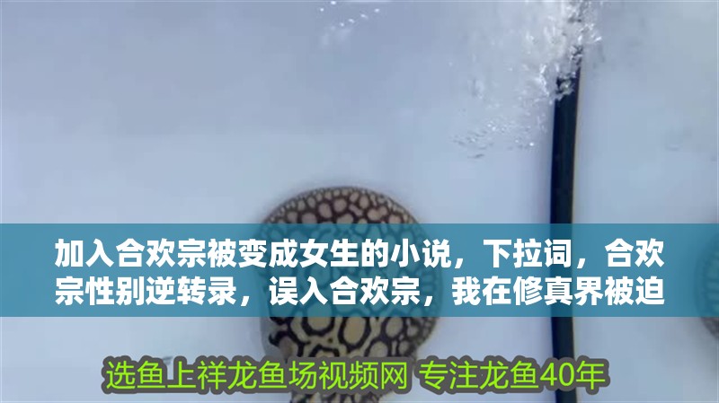 加入合歡宗被變成女生的小說，合歡宗性別逆轉(zhuǎn)錄，誤入合歡宗，我在修真界被迫成為絕世美少女的日子