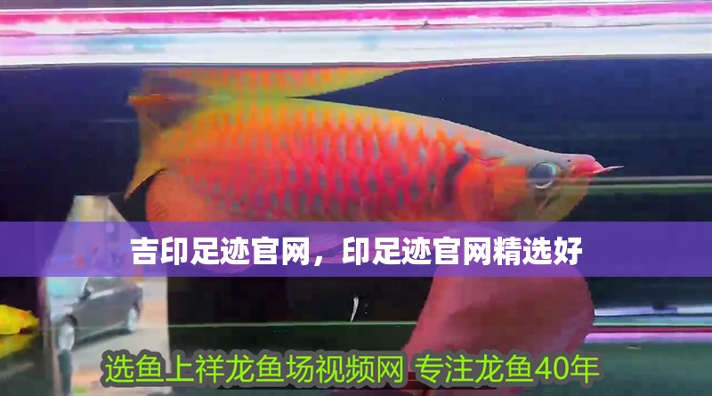 吉印足跡官網(wǎng)，印足跡官網(wǎng)精選好