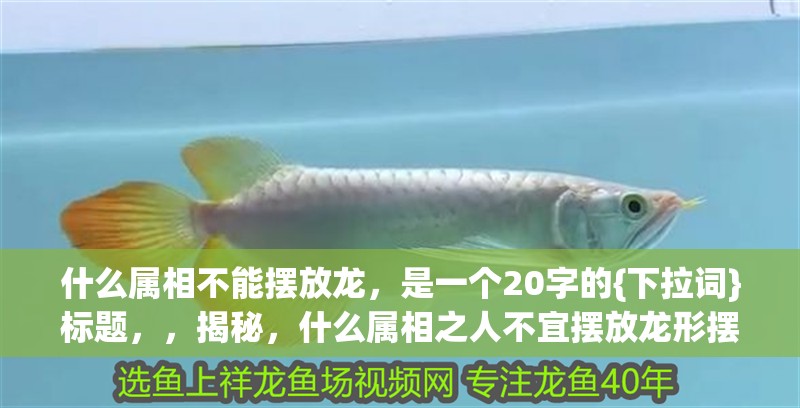 什么屬相不能擺放龍，是一個20字的{下拉詞}標題，，揭秘，什么屬相之人不宜擺放龍形擺