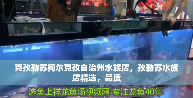 克孜勒蘇柯爾克孜自治州水族店，孜勒蘇水族店精選，品質(zhì)