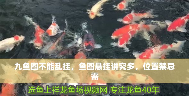 九魚圖不能亂掛，魚圖懸掛講究多，位置禁忌需