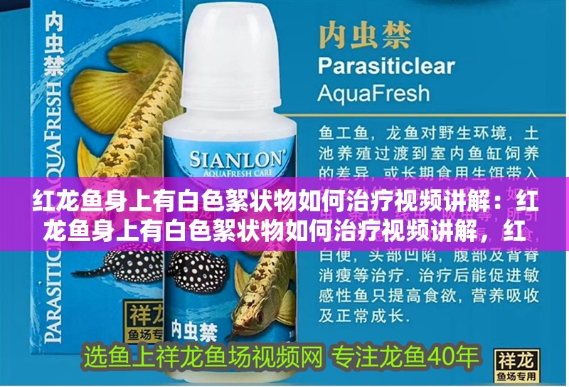 紅龍魚身上有白色絮狀物如何治療視頻講解：紅龍魚身上有白色絮狀物如何治療視頻講解，紅龍魚身上出現(xiàn)白色絮狀物