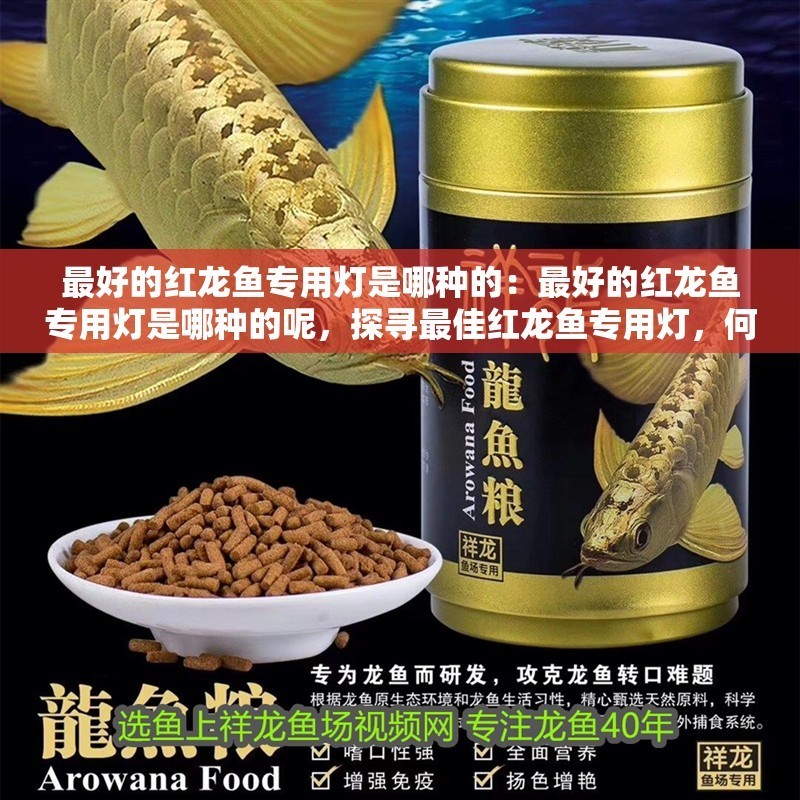 最好的紅龍魚專用燈是哪種的：最好的紅龍魚專用燈是哪種的呢，探尋最佳紅龍魚專用燈，何種燈光最適宜？