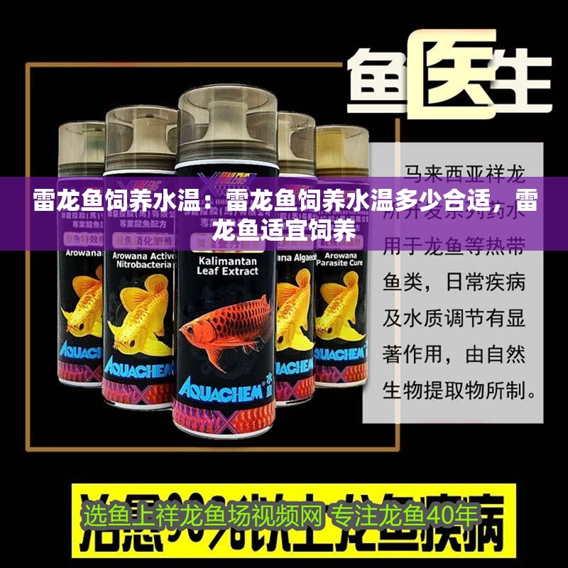 雷龍魚飼養(yǎng)水溫：雷龍魚飼養(yǎng)水溫多少合適，雷龍魚適宜飼養(yǎng)