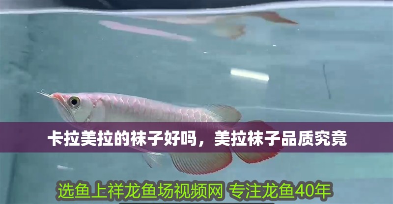 卡拉美拉的襪子好嗎，美拉襪子品質究竟