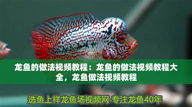 龍魚的做法視頻教程：龍魚的做法視頻教程大全，龍魚做法視頻教程