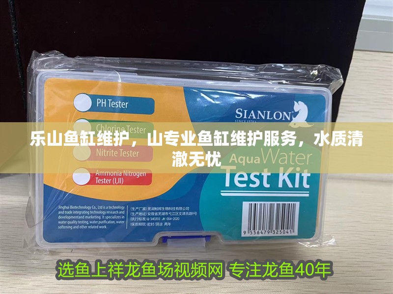 樂山魚缸維護，山專業魚缸維護服務，水質清澈無憂