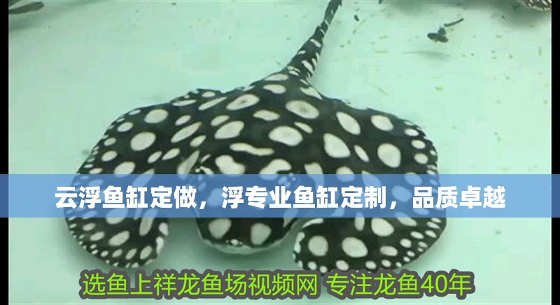 云浮魚缸定做，浮專業(yè)魚缸定制，品質(zhì)卓越