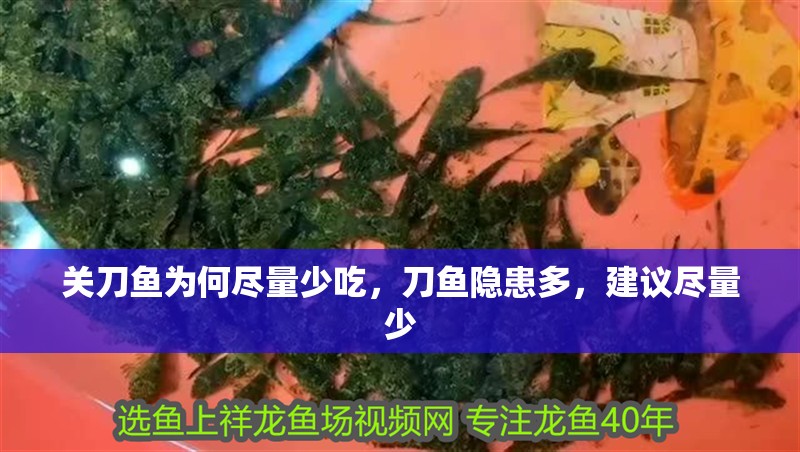 關刀魚為何盡量少吃，刀魚隱患多，建議盡量少