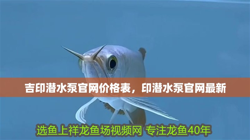 吉印潛水泵官網(wǎng)價格表，印潛水泵官網(wǎng)最新